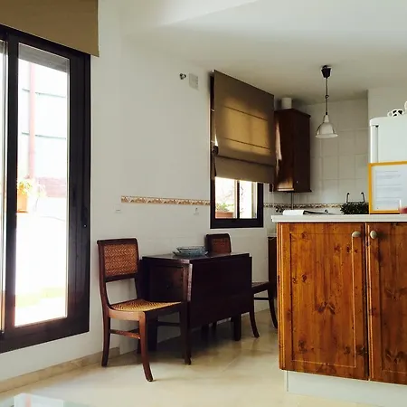 Apartment Penthouse Puerta De La Juderia